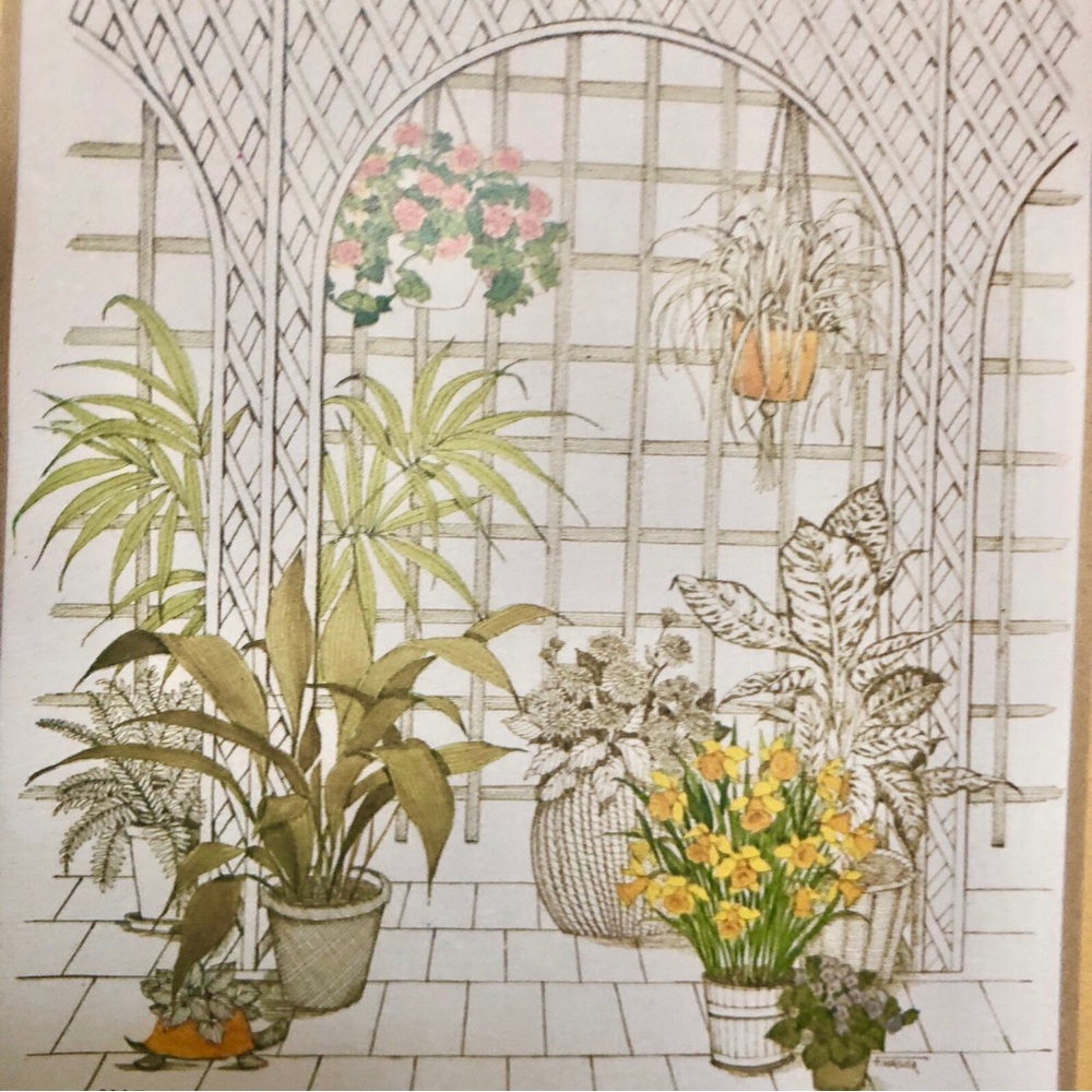 Vintage Botanical Wall Art Print - Yellow & Green Plant Illustration